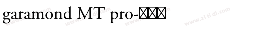 garamond MT pro字体转换